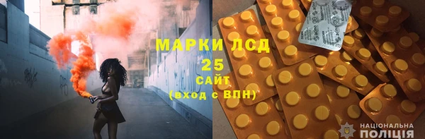 ПСИЛОЦИБИНОВЫЕ ГРИБЫ Кукмор