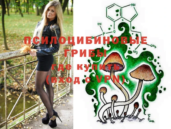 круглые Краснослободск