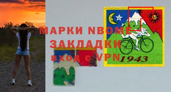 индика Куйбышев