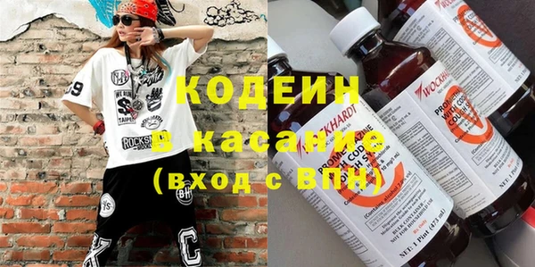 индика Куйбышев