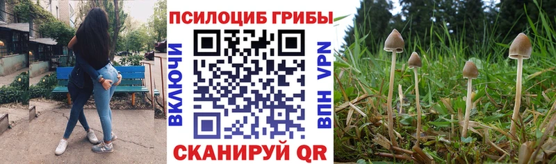 Псилоцибиновые грибы мухоморы  Кудымкар 